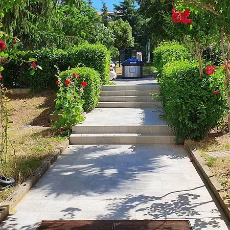 In - Istrien 43257 *