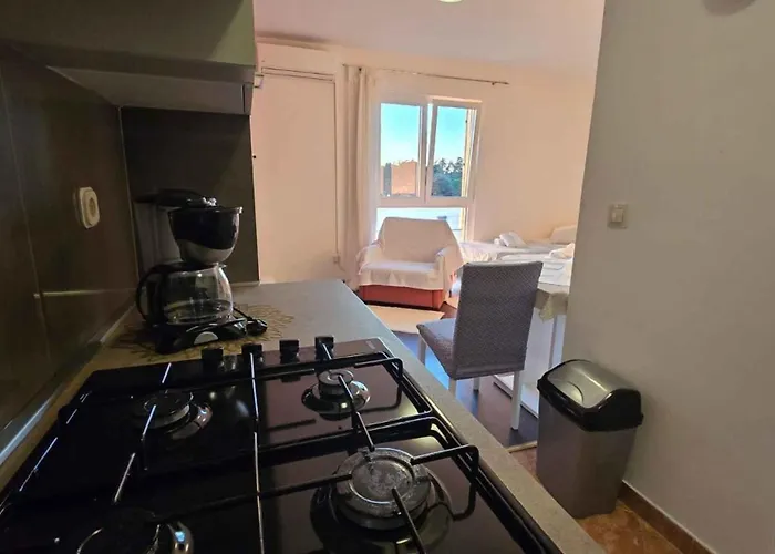 公寓 In - Istrien 43257 *